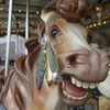 The horses are nameless -- for now. Walentas is leaving the option to sponsor or name horses with donations to the non-profit fund that will run and regulate the carousel.